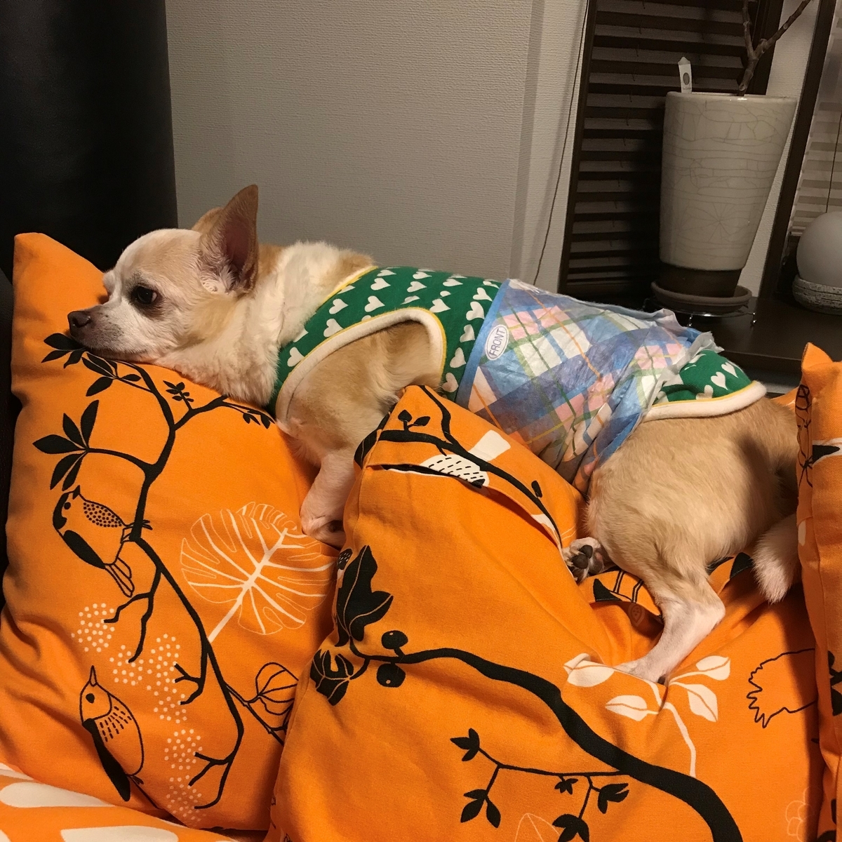 f:id:g-ninetyone:20190821213215j:plain
