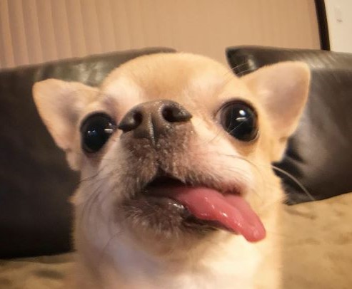 f:id:g-ninetyone:20190821213501j:plain
