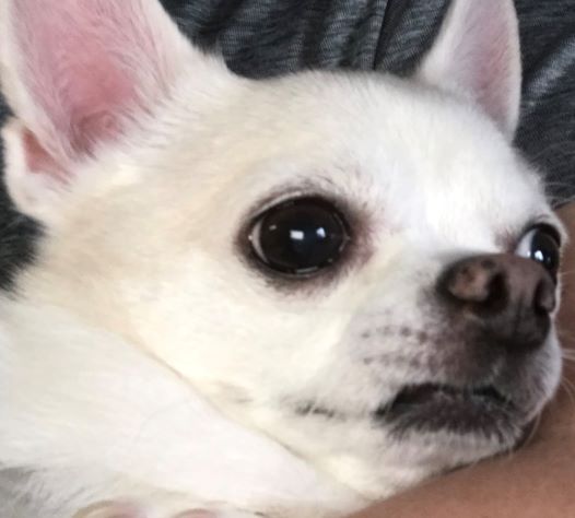 f:id:g-ninetyone:20190826232049j:plain