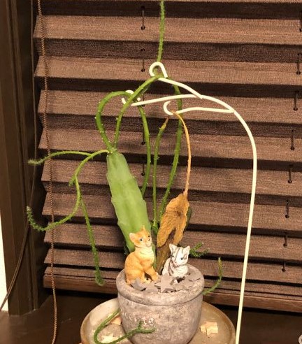 f:id:g-ninetyone:20190828213420j:plain f:id:g-ninetyone:20190828213420j:plain