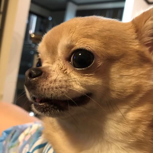 f:id:g-ninetyone:20190828214656j:plain f:id:g-ninetyone:20190828214656j:plain