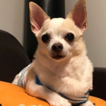 f:id:g-ninetyone:20190914233527j:plain