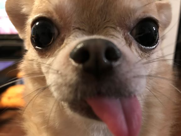 f:id:g-ninetyone:20191003214529j:plain