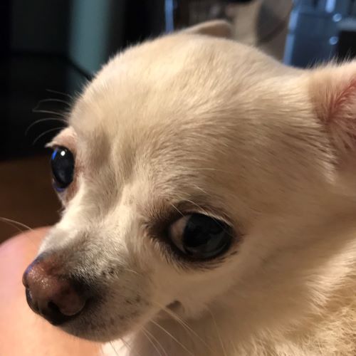 f:id:g-ninetyone:20191013201004j:plain f:id:g-ninetyone:20191013201004j:plain