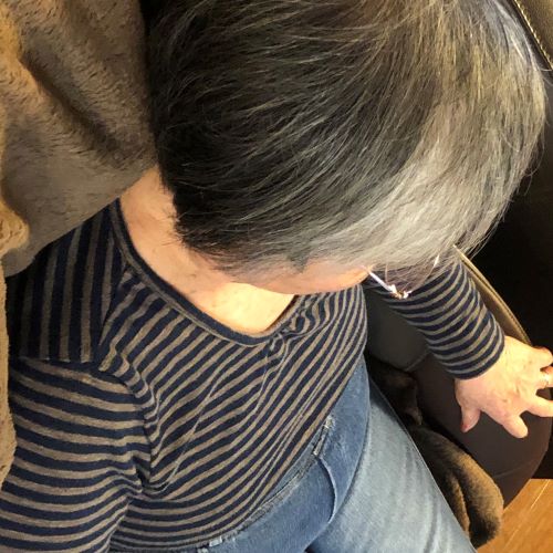 f:id:g-ninetyone:20191231171938j:plain f:id:g-ninetyone:20191231171938j:plain