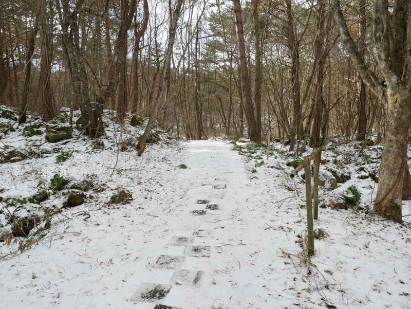 f:id:g-onsen:20200123211557j:plain