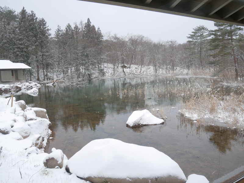 f:id:g-onsen:20200123213414j:plain