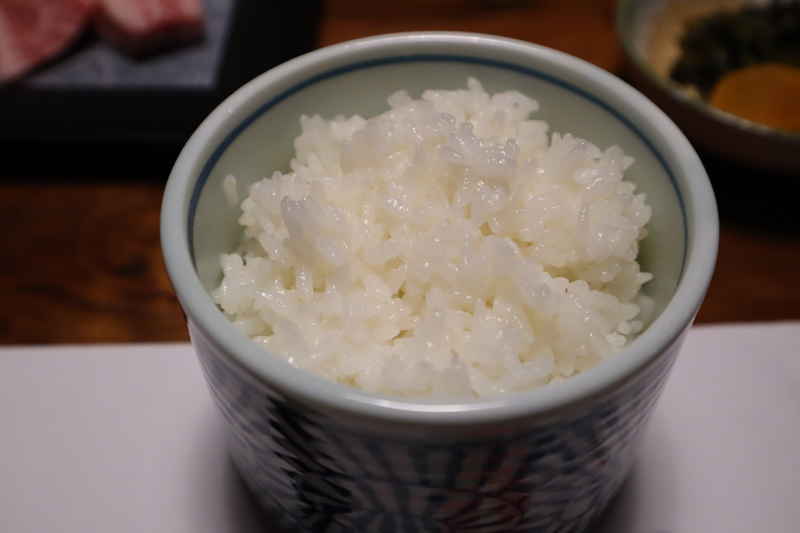 f:id:g-onsen:20200411101304j:plain