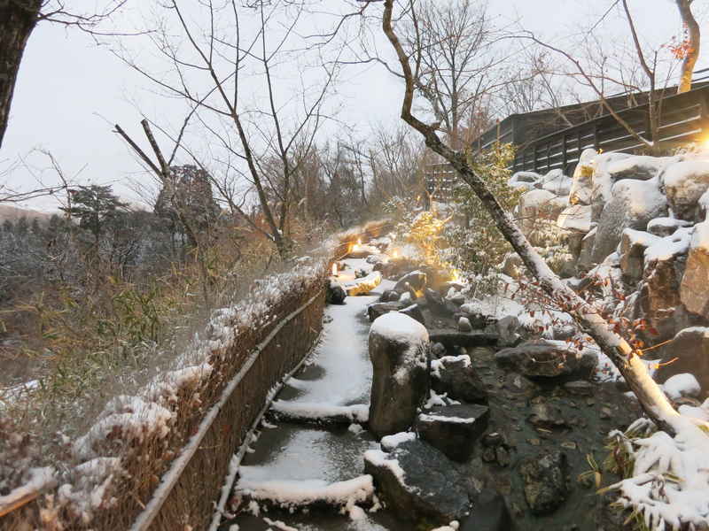 f:id:g-onsen:20201011113649j:plain f:id:g-onsen:20201011113649j:plain