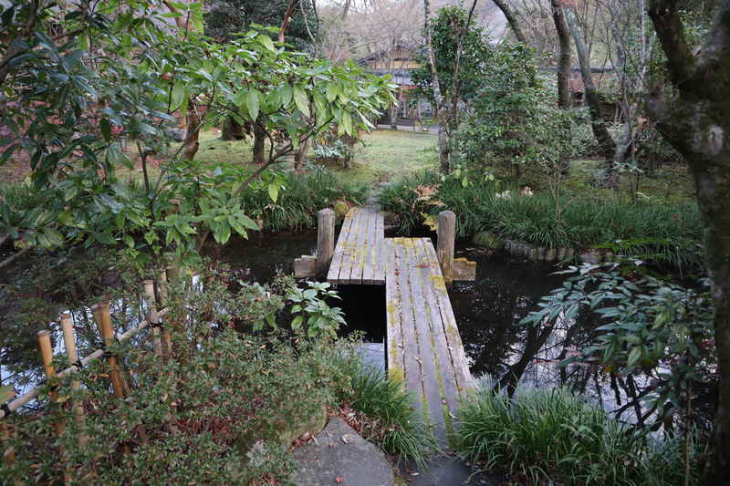 f:id:g-onsen:20210613131312j:plain