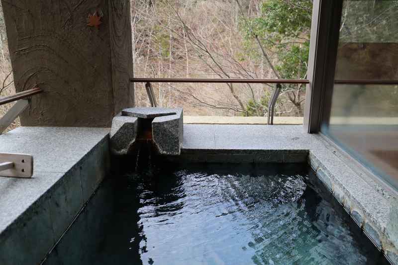 f:id:g-onsen:20211220225244j:plain