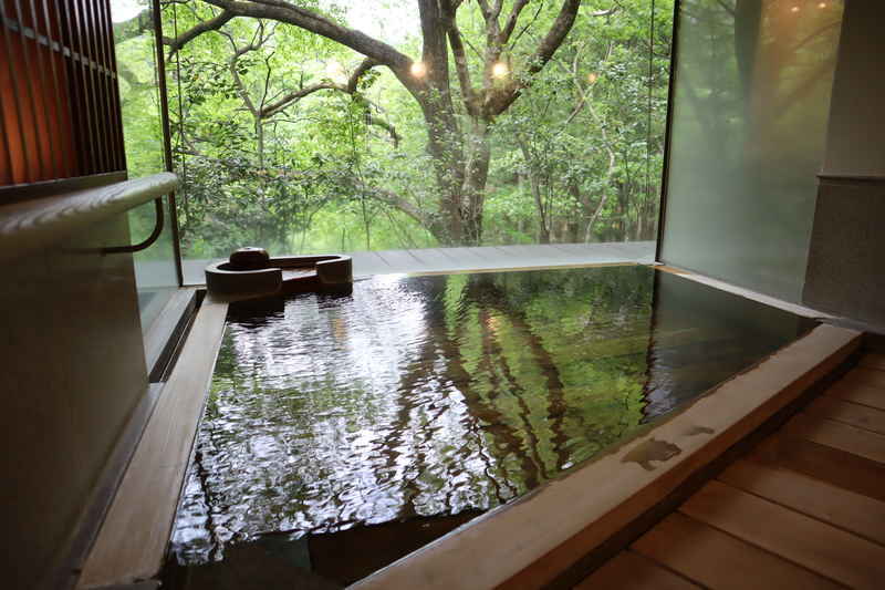 f:id:g-onsen:20220218212711j:plain
