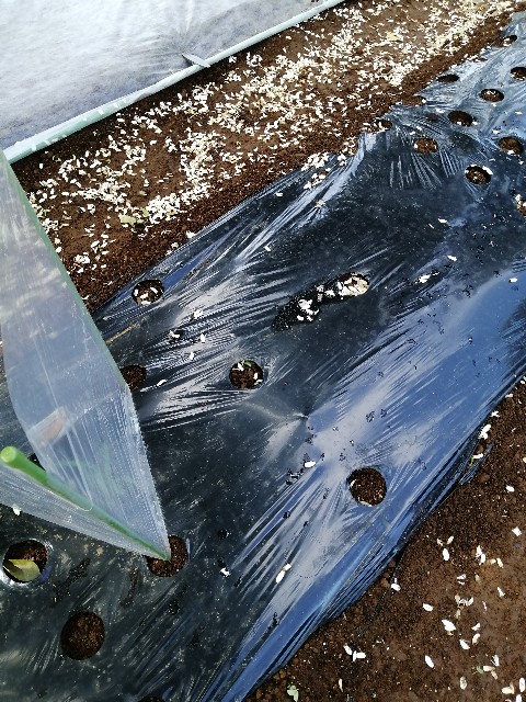 f:id:g-robo:20200511230846j:image