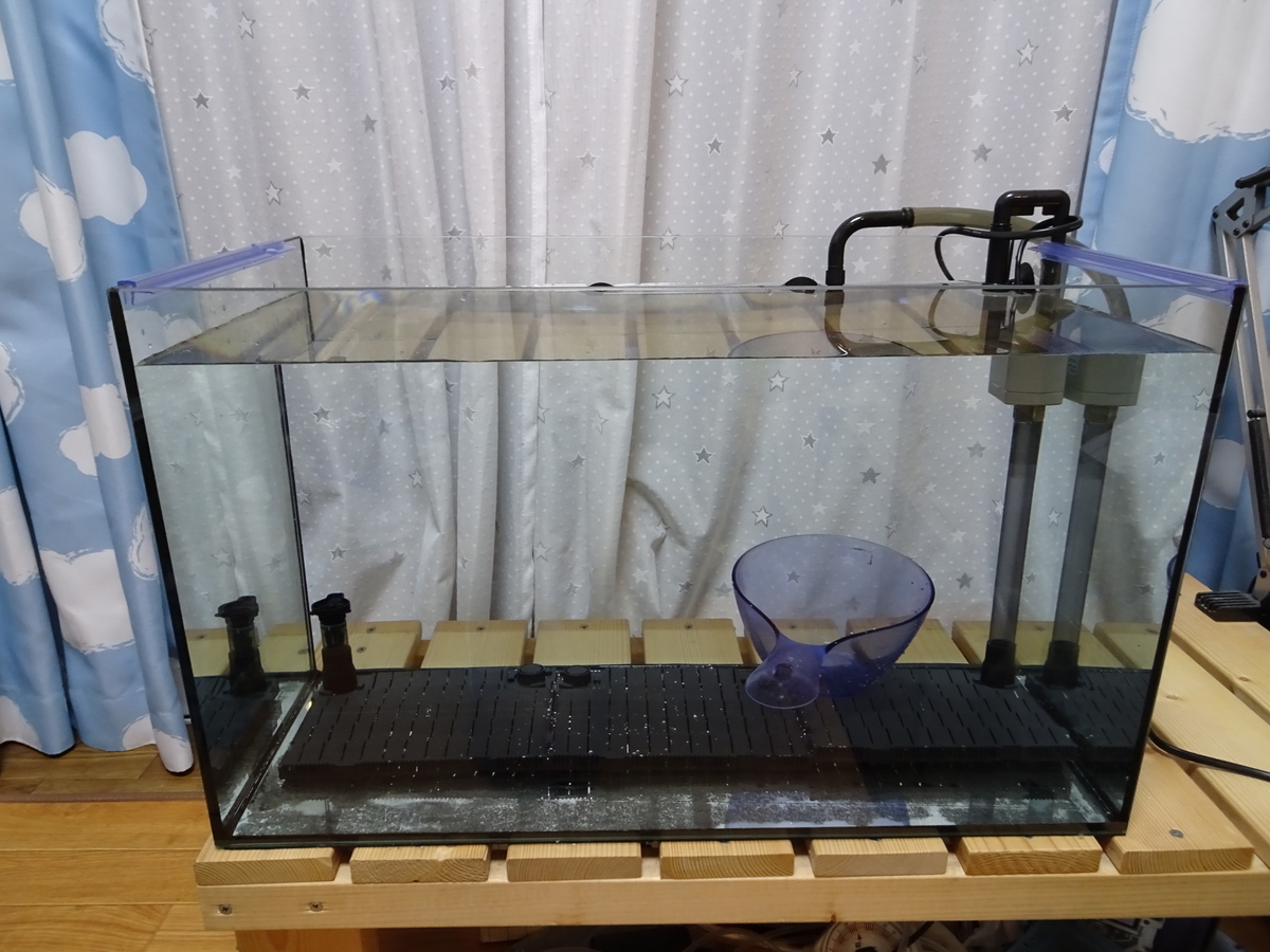 水槽を水槽台にセッティング Vax60セッティング 陰性水草水槽立ち上げ Gの趣味ブログ