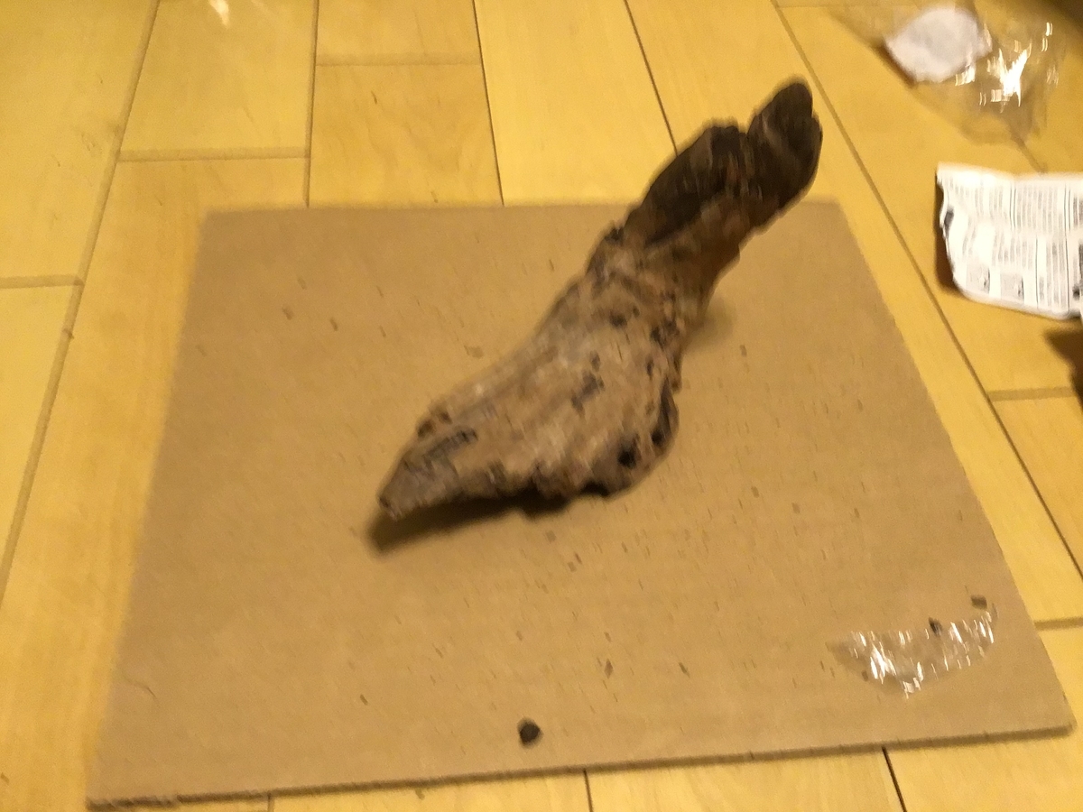流木のレビュー 流木の処理 gexとニッソーを比較 陰性水草水槽立ち上げ