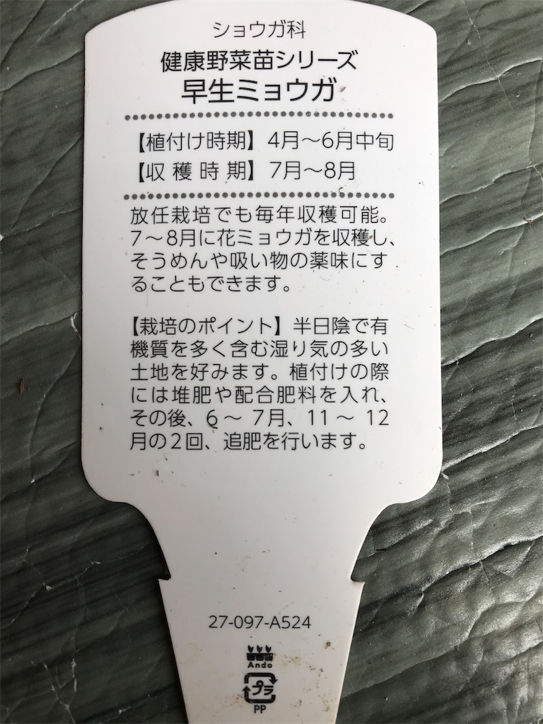 f:id:g03162:20190416131607j:image
