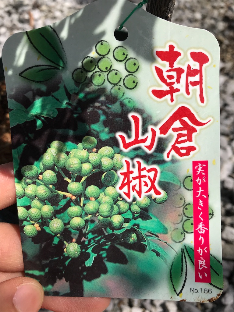 f:id:g03162:20190416140334j:image
