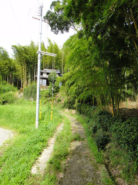 f:id:g040813:20120909142749j:image f:id:g040813:20120909142749j:image