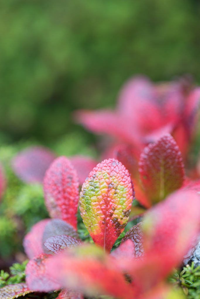 f:id:g071067:20181209185719j:plain f:id:g071067:20181209185719j:plain