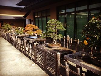 f:id:g16:20151122225010p:image