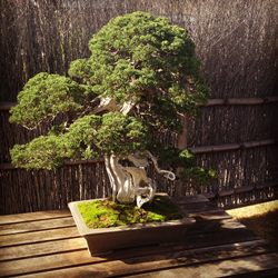 f:id:g16:20151122225031p:image