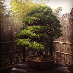 f:id:g16:20151122225139p:image