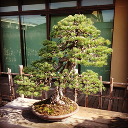 f:id:g16:20151122225141p:image