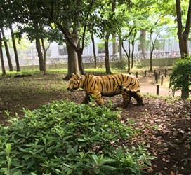f:id:g16:20160605012104p:image