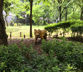 f:id:g16:20160605012124p:image