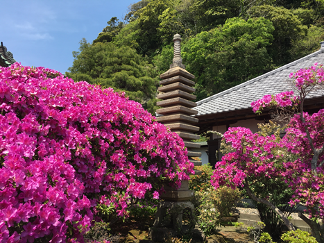 f:id:g16:20180519004146p:image