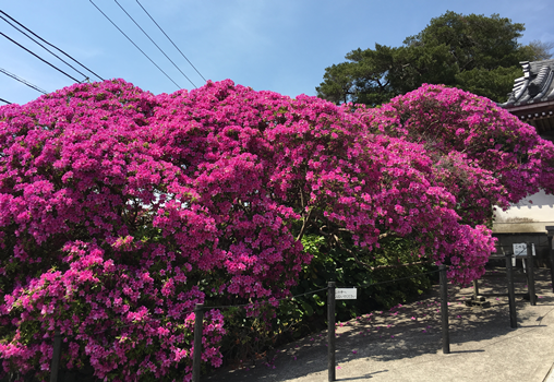 f:id:g16:20180519004150p:image