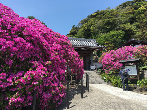 f:id:g16:20180519004153p:image