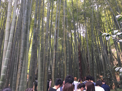 f:id:g16:20180519004342p:image