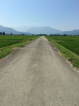 f:id:g16:20180720011607p:image