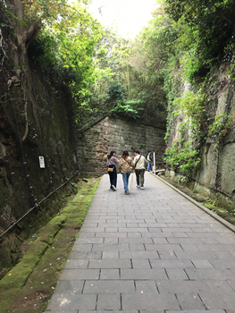 f:id:g16:20190506182226p:plain