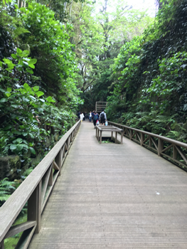 f:id:g16:20190506182235p:plain