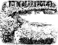 f:id:g16:20190622183934p:plain