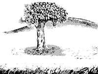 f:id:g16:20190622185023p:plain