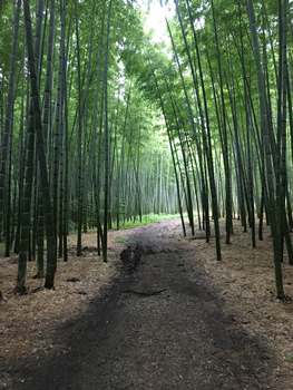 f:id:g16:20191006004715p:plain
