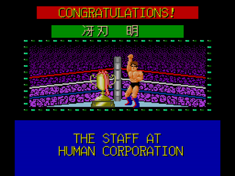 TAITO - PC Engine パラソルスター、ファイヤープロレスリング2 91Dxx4HjWYL._UF1000,1000_QL80_.jpg