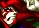 f:id:g16:20210601085103p:plain