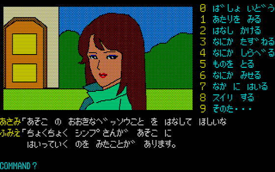 MSX 軽井沢誘拐案内 頻 