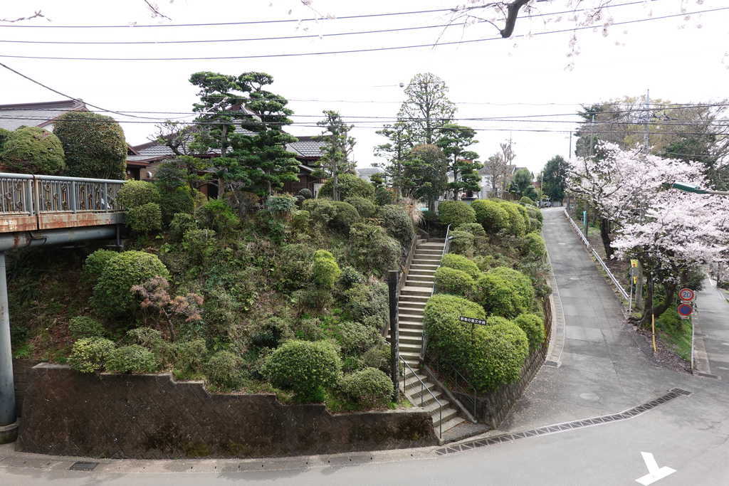 西蓮寺本堂東の公園