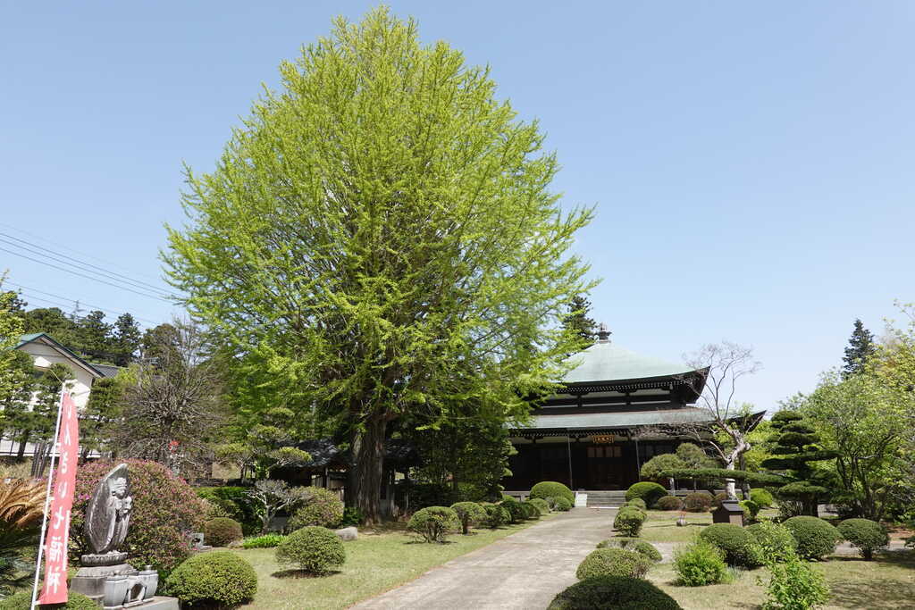 小倉・和泉泉倉寺境内