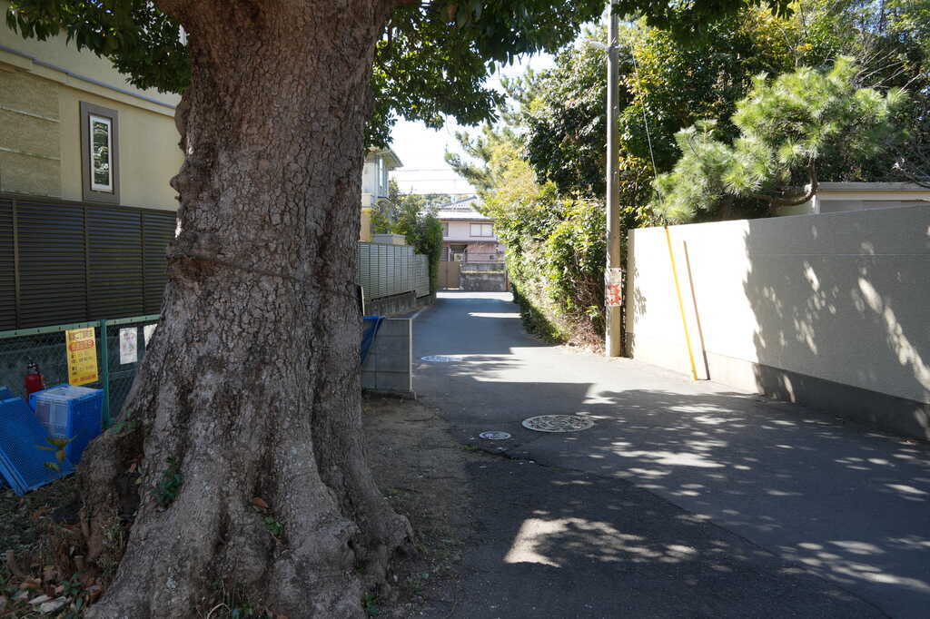 若宮第六天社参道から道路へ