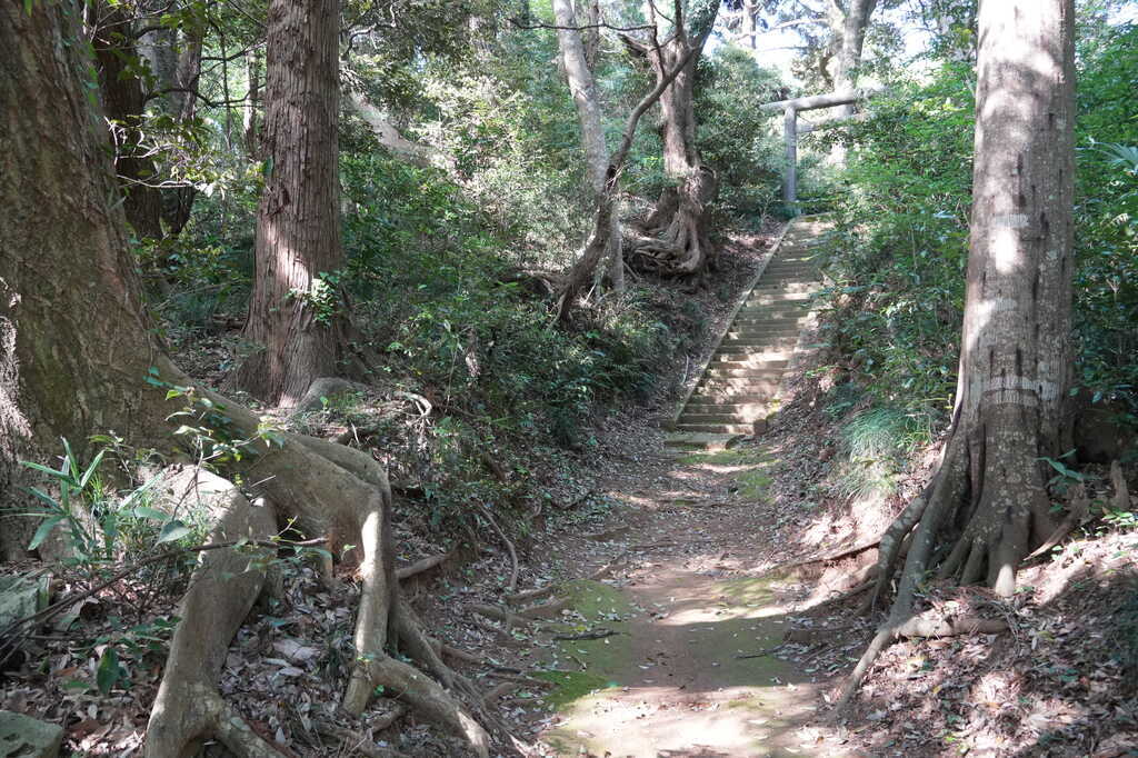八街市の地域探訪 大関(大関新田)の若宮神社など - YOBIUMA Satsuki(呼馬皐月)のブログ