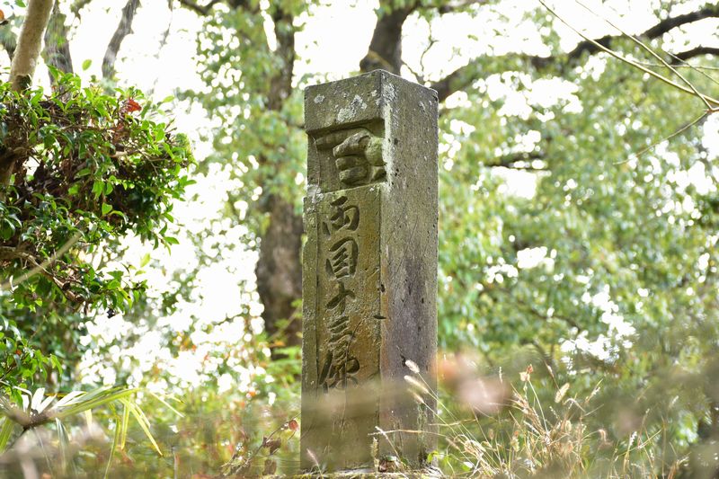 三池街道を辿り岩本橋へ散策 遊山のフィールドノート 