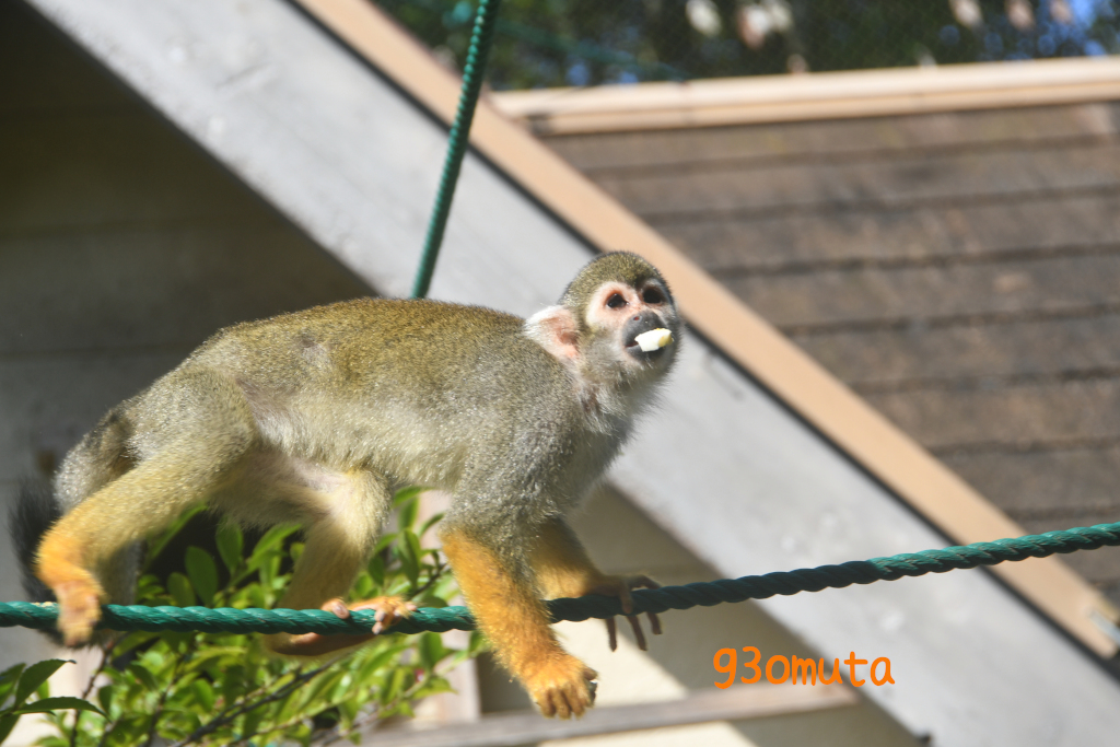 大牟田市動物園