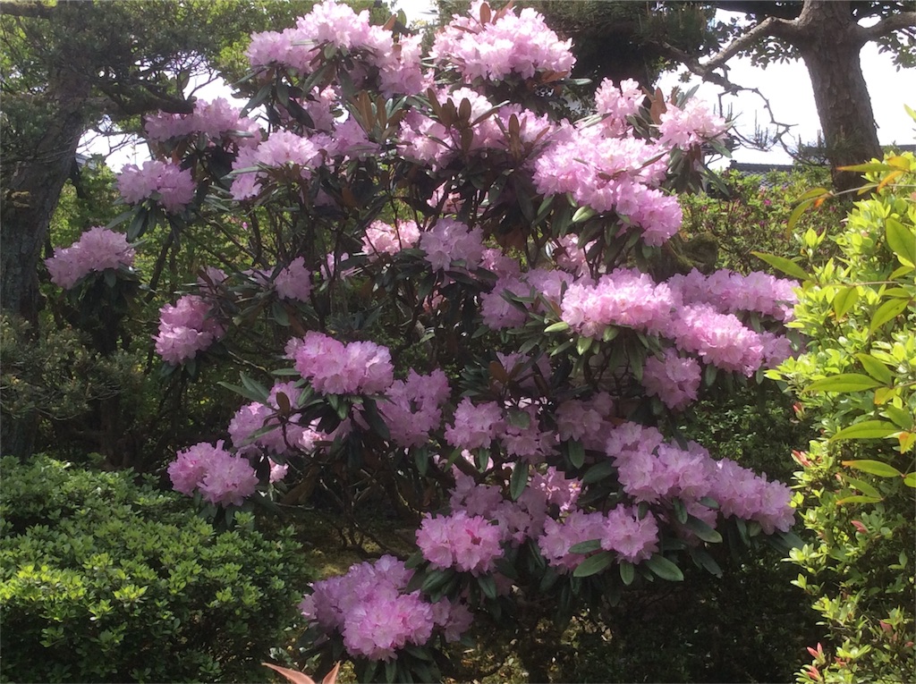 f:id:g3org3:20170503110816j:image