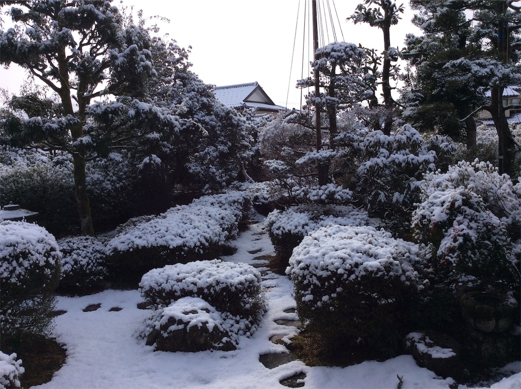 f:id:g3org3:20190205183058j:image